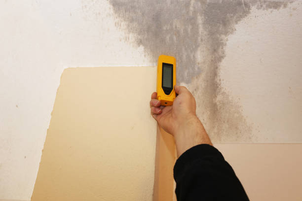 Best Indoor Air Quality Assessment  in La Pine, OR
