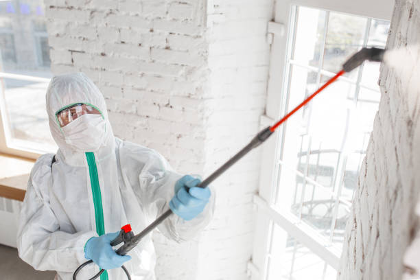 Best Real Estate Mold Inspection  in La Pine, OR