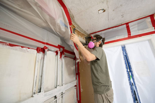 Best Industrial Mold Remediation  in La Pine, OR