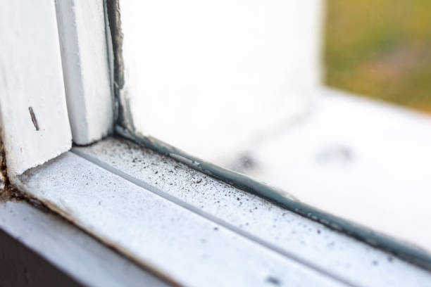 Best Mold-Related Health Consultation  in La Pine, OR