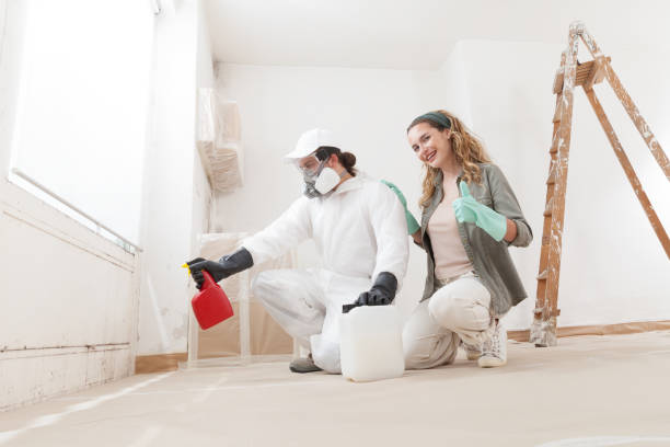 Biohazard Mold Removal in La Pine, OR