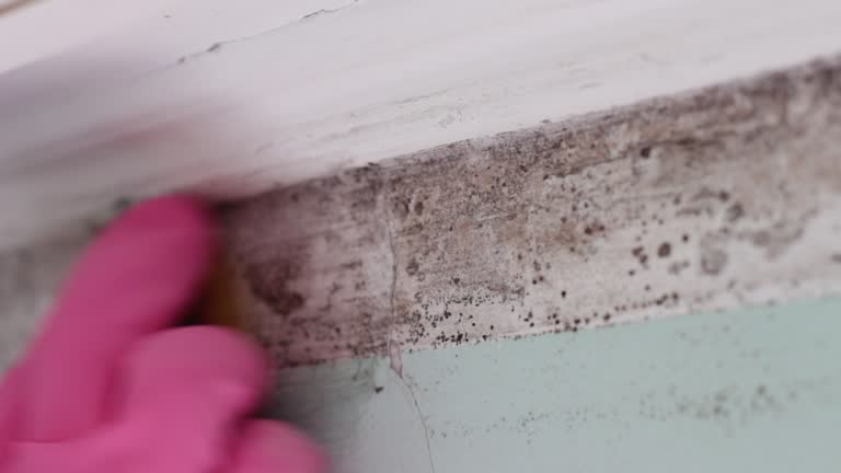 Best HVAC Mold Inspection and Cleaning  in La Pine, OR